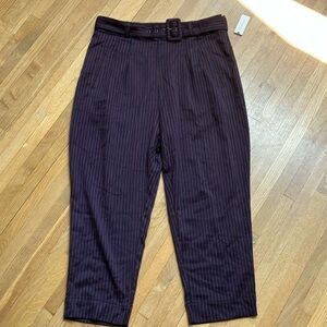 Anthropologie striped pants size 14